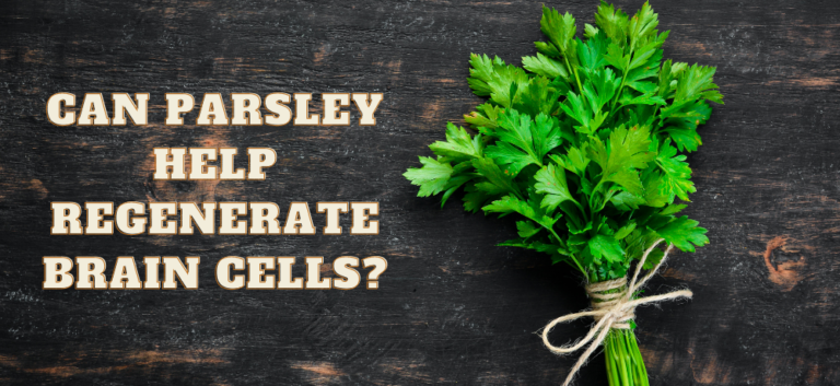 Can Parsley help prevent or treat Alzheimer’s disease? 8 Can parsley regenerate brain cells?