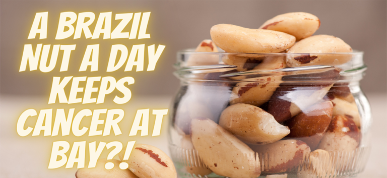 Can Eating Brazil Nuts Help Prevent Cancer? 6 Brazil Nuts may help keep cancer at bay!?